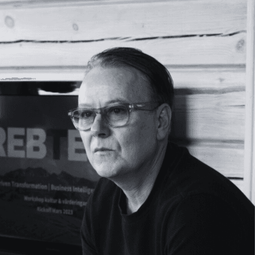 Martin Hultqvist — CEO